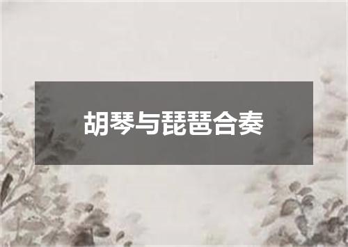胡琴与琵琶合奏