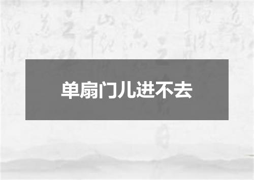 单扇门儿进不去