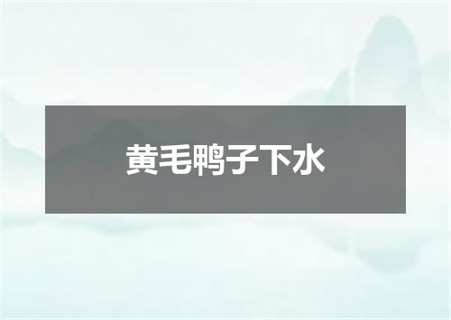 黄毛鸭子下水