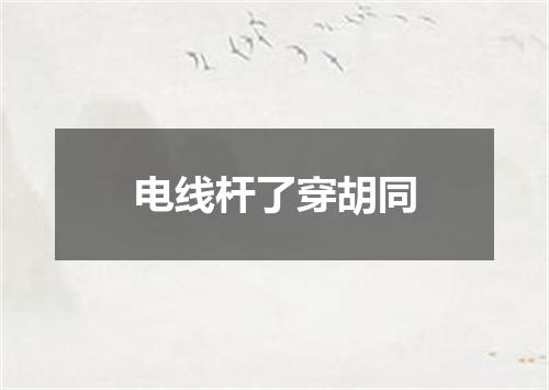 电线杆了穿胡同