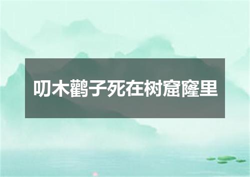 叨木鹳子死在树窟窿里