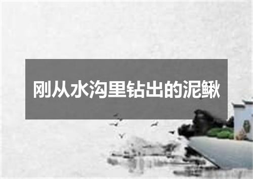 刚从水沟里钻出的泥鳅