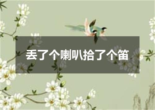 丢了个喇叭拾了个笛