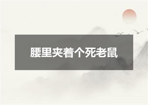 腰里夹着个死老鼠