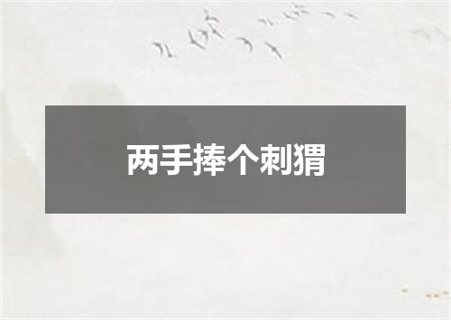 两手捧个刺猬