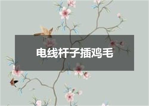 电线杆子插鸡毛