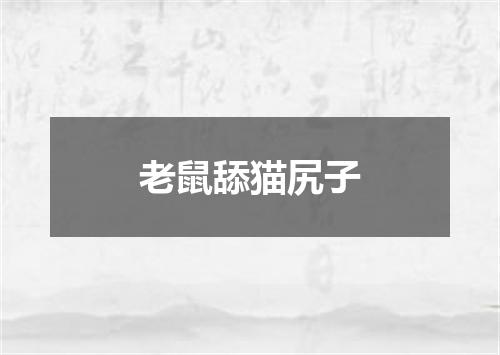 老鼠舔猫尻子