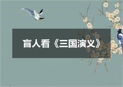 盲人看《三国演义》