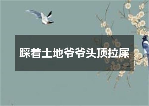踩着土地爷爷头顶拉屎