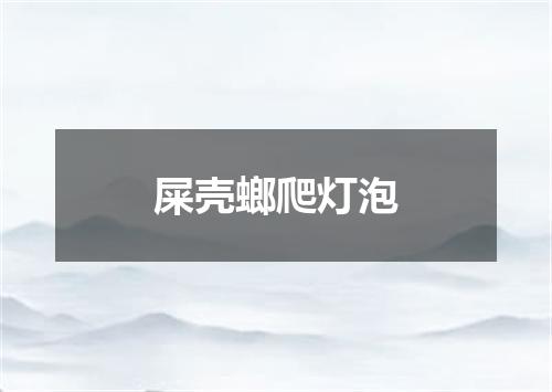 屎壳螂爬灯泡