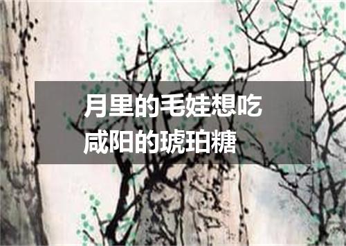 月里的毛娃想吃咸阳的琥珀糖