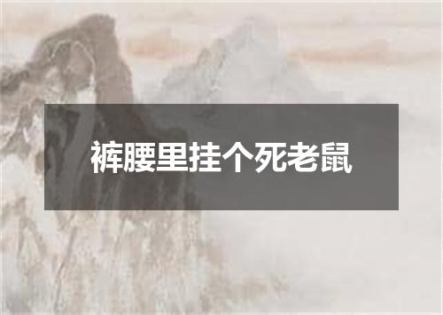 裤腰里挂个死老鼠