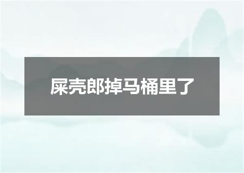 屎壳郎掉马桶里了