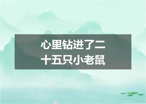 心里钻进了二十五只小老鼠
