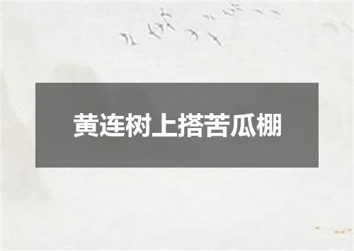 黄连树上搭苦瓜棚
