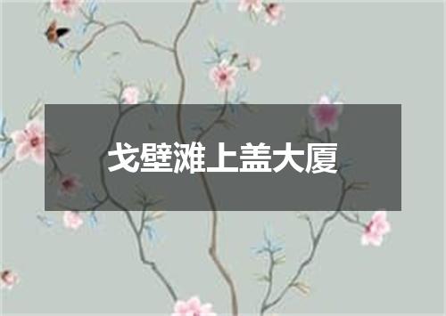 戈壁滩上盖大厦