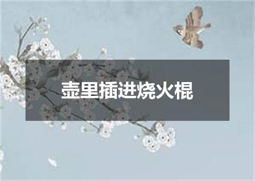 壶里插进烧火棍