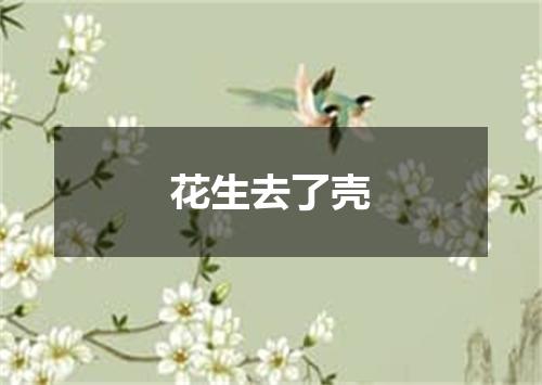 花生去了壳