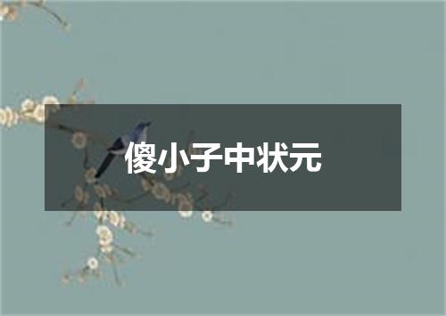 傻小子中状元