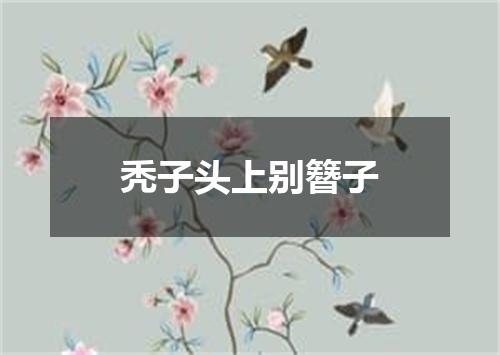 秃子头上别簪子