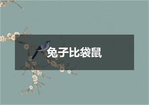 兔子比袋鼠