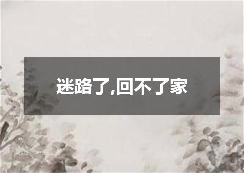 迷路了,回不了家