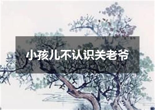 小孩儿不认识关老爷