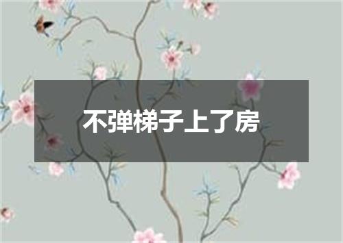 不弹梯子上了房