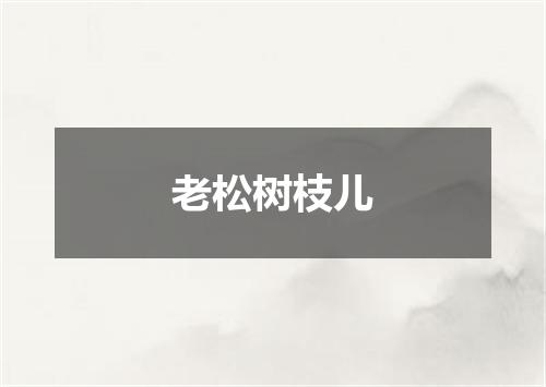 老松树枝儿