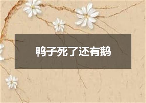 鸭子死了还有鹅