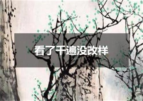 看了千遍没改样