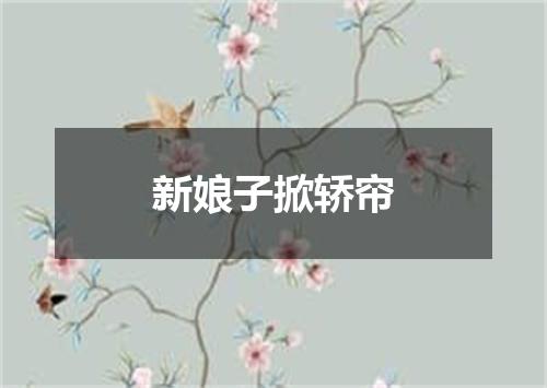 新娘子掀轿帘
