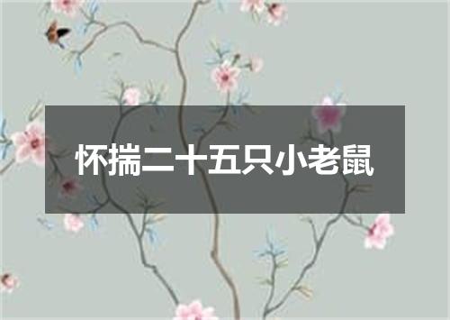 怀揣二十五只小老鼠