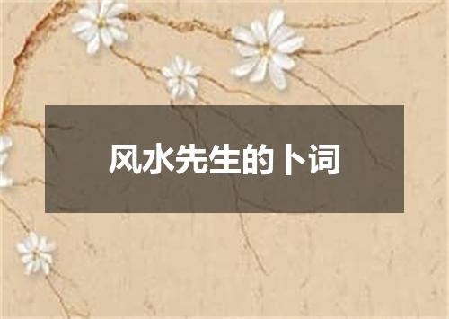 风水先生的卜词