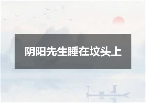 阴阳先生睡在坟头上