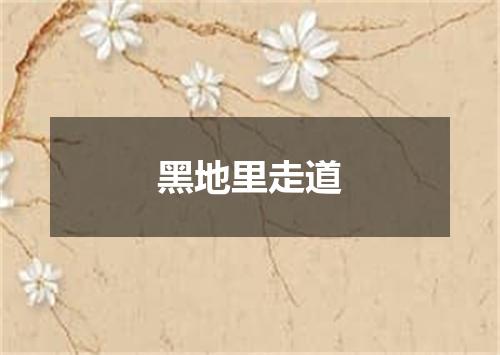 黑地里走道
