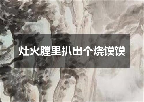 灶火膛里扒出个烧馍馍