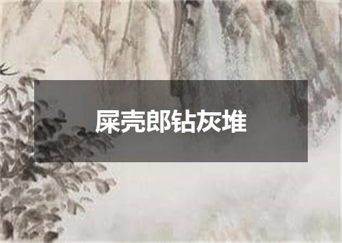屎壳郎钻灰堆