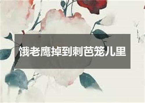 饿老鹰掉到刺芭笼儿里