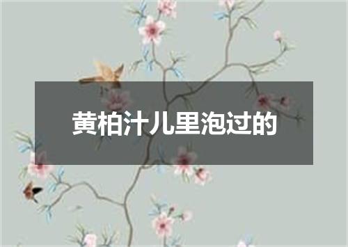 黄柏汁儿里泡过的