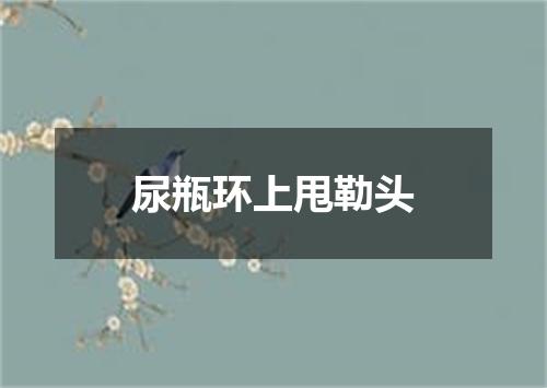 尿瓶环上甩勒头