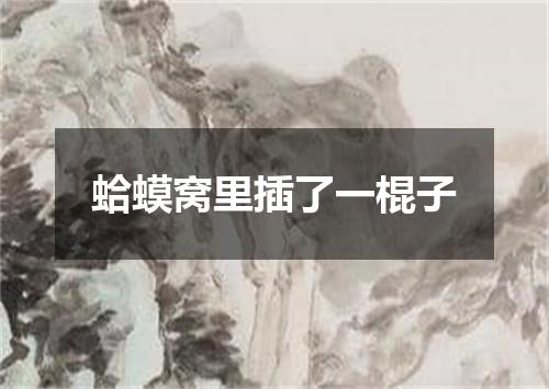 蛤蟆窝里插了一棍子