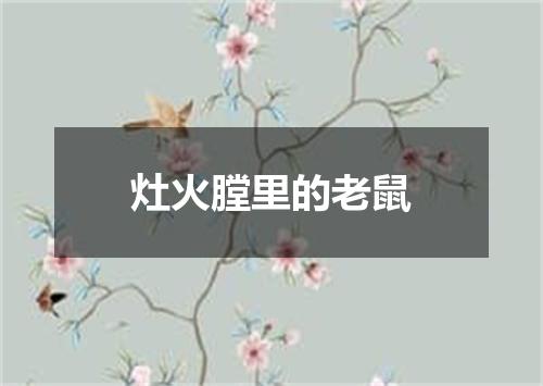 灶火膛里的老鼠