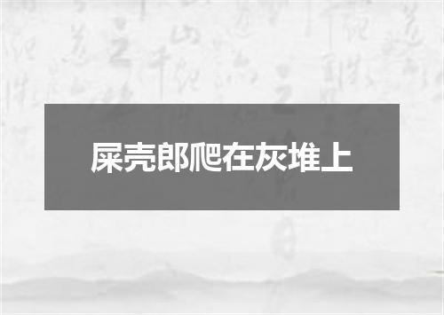 屎壳郎爬在灰堆上