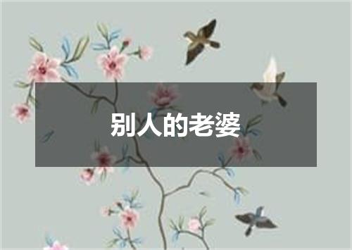 别人的老婆