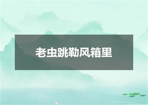 老虫跳勒风箱里