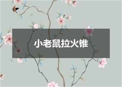 小老鼠拉火锥