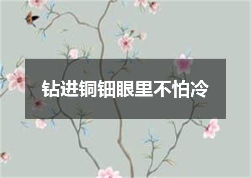 钻进铜钿眼里不怕冷