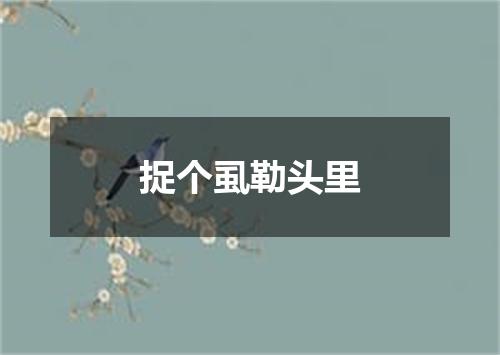 捉个虱勒头里