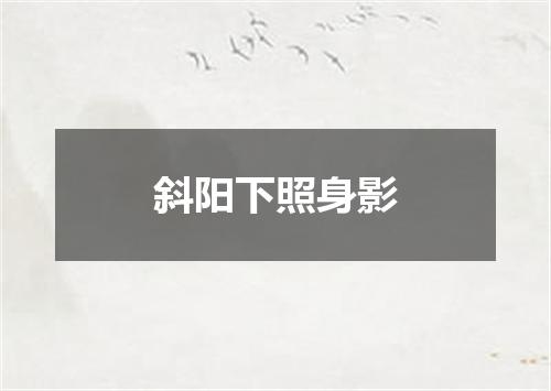 斜阳下照身影